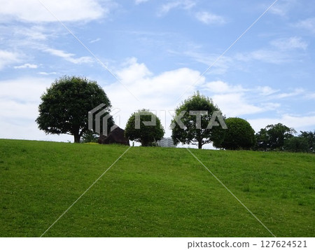 風景與草地 127624521