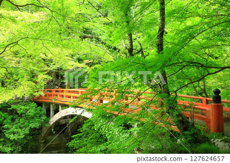Fresh greenery of the Kiyotaki River, the beautiful valley and Shizuki Bridge Fresh greenery of the Kiyotaki River, the beautiful valley and Shizuki Bridge 127624657