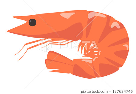 蝦向量插圖蝦蝦 蝦向量插圖蝦蝦 127624746