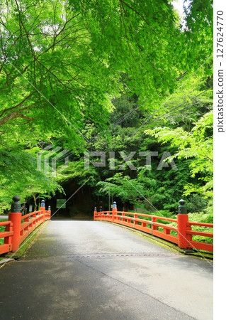 清瀧川的新綠、溪谷的美景和高尾橋 127624770