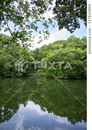 新西湖堰塞湖六月素材[神奈川縣秦野市] 127624804