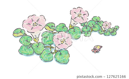Sea Bindweed and Hermit Crab Illustration 127625166