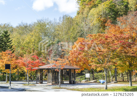 札幌市瀧野鈴蘭丘陵公園溪流入口附近的紅葉 127625205