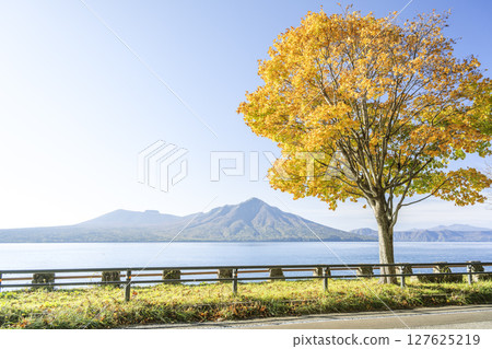 Autumn at Lake Shikotsu, Japanese maple, Mt. Tarumae, Mt. Fuppushi, Chitose City 127625219