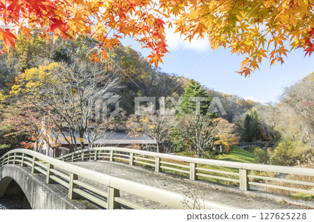 古橋與秋葉 札幌市瀧野鈴蘭之丘公園 古橋與秋葉 札幌市瀧野鈴蘭之丘公園 127625228