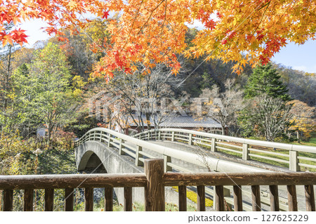古橋與秋葉 札幌市瀧野鈴蘭之丘公園 127625229