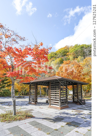 札幌市瀧野鈴蘭丘陵公園溪流入口附近的紅葉 127625281