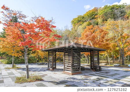 札幌市瀧野鈴蘭丘陵公園溪流入口附近的紅葉 127625282