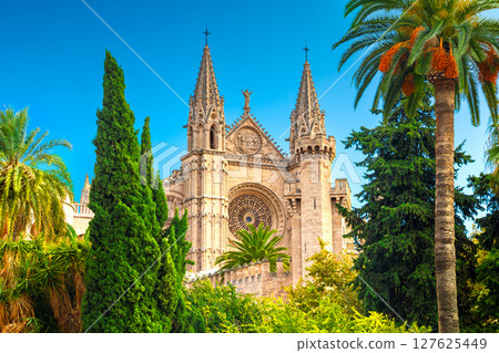 The Cathedral of Santa Maria of Palma and Parc del Mar near, Majorca, Spain 127625449