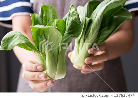 Organic Bok choy or Pak choi holding by hand, Fresh vegetable, Food ingredient Organic Bok choy or Pak choi holding by hand, Fresh vegetable, Food ingredient 127625474