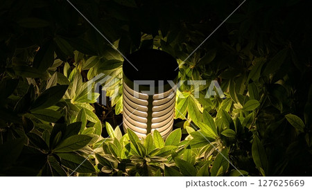 植物 植物學 植物的 127625669