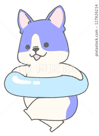 French bulldog (pied, blue) running with a float French bulldog (pied, blue) running with a float 127626214