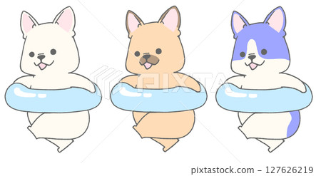 三種法國鬥牛犬在花車上奔跑 三種法國鬥牛犬在花車上奔跑 127626219