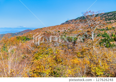 Autumn leaves as seen from Nishi-Azuma Sky Valley Autumn leaves as seen from Nishi-Azuma Sky Valley 127626248