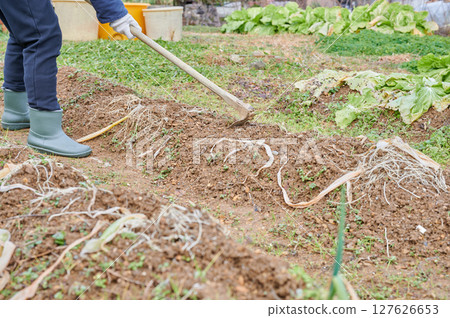 Woman working in the fields, country life, home garden 127626653