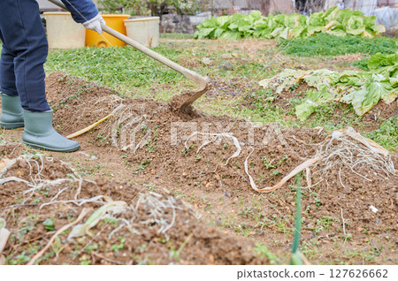 Woman working in the fields, country life, home garden Woman working in the fields, country life, home garden 127626662