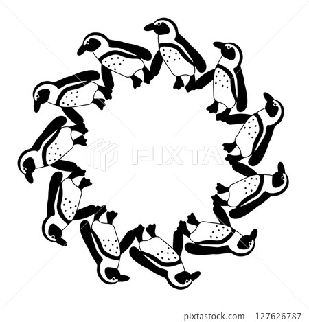 Cape penguin frame Cape penguin frame 127626787