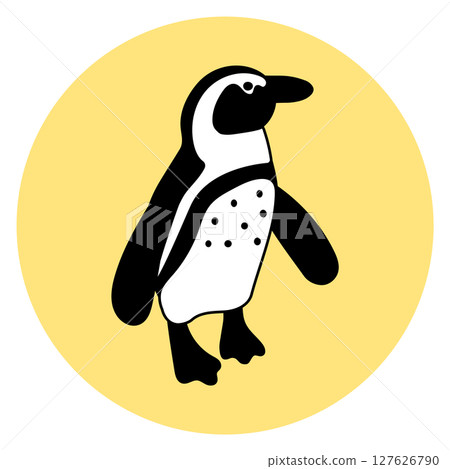 Cape penguin illustration icon 127626790