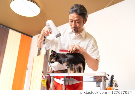 A man doing pet care work, grooming a dog's coat A man doing pet care work, grooming a dog's coat 127627034
