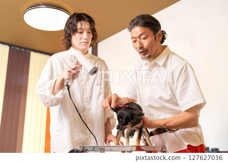 A young trainee and a veteran groomer 127627036