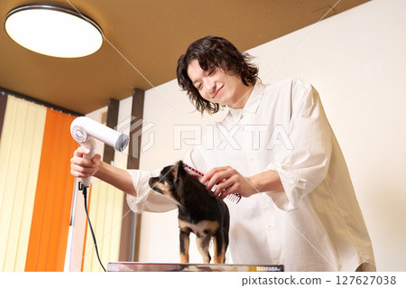 一位年輕的男美容師正在為狗狗美容 127627038