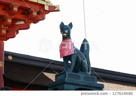 京都伏見稻荷的狐狸 京都伏見稻荷的狐狸 127628086
