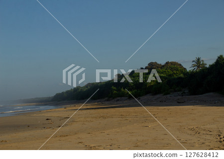 Landscape vegetation of trees on the sandy beach of Sumatra, Lampung in the morning with a bright blue sky 127628412