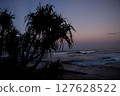 Silhouette of Pandan Laut Tree on the Beach at Purplish Dusk with the background of the waves of the Sumatran coast of Indonesia 127628522