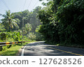 Tropical and Winding Trans-Sumatra Lampung Highway Surrounded by Green Forest 127628526