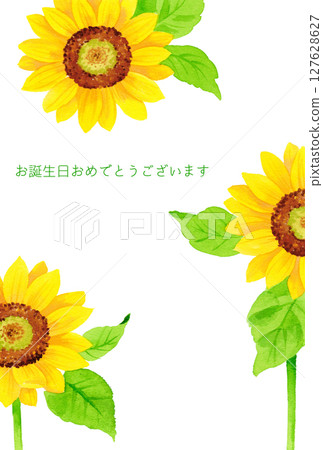 帶有黃色向日葵水彩插圖的生日卡 帶有黃色向日葵水彩插圖的生日卡 127628627