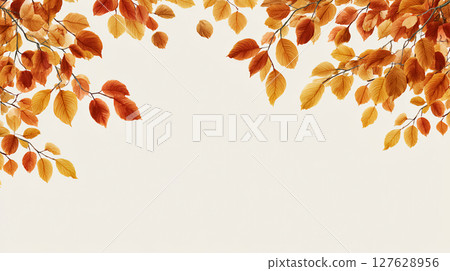 Reddish colored autumn leaves 127628956