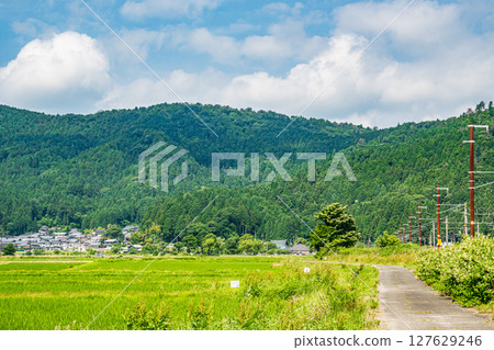 滋賀縣長濱市港北地區與後町的田園風光 127629246