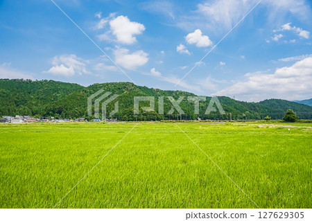 Rural scenery in Yogo Town, Kohoku region, Nagahama City, Shiga Prefecture Rural scenery in Yogo Town, Kohoku region, Nagahama City, Shiga Prefecture 127629305