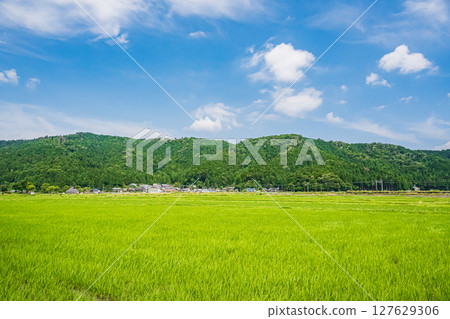 滋賀縣長濱市港北地區與後町的田園風光 滋賀縣長濱市港北地區與後町的田園風光 127629306