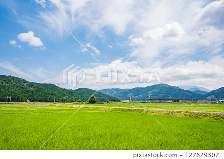 滋賀縣長濱市港北地區與後町的田園風光 127629307