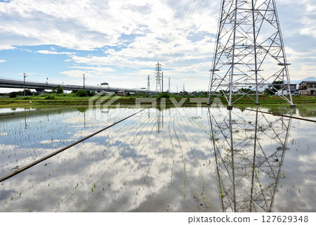 稻田和電線塔上倒映的雲朵 127629348