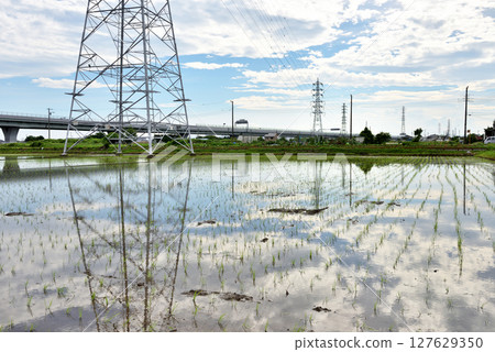 稻田和電線塔上倒映的雲朵 127629350