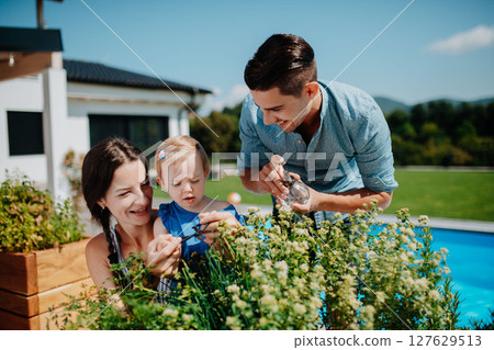 Young family taking care of plants in garden, spraying them with water. 127629513