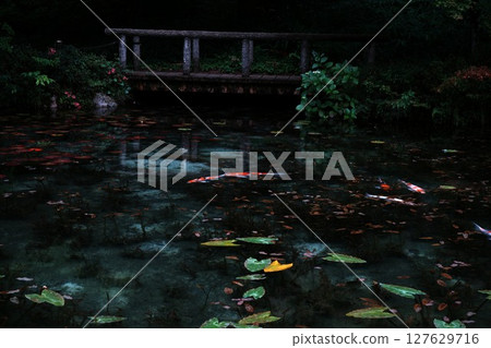 Pond of monet 127629716