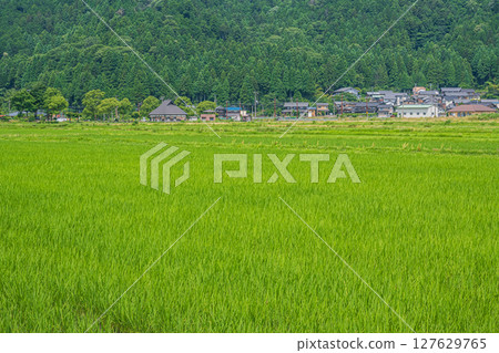 Rural scenery in Yogo Town, Kohoku region, Nagahama City, Shiga Prefecture 127629765