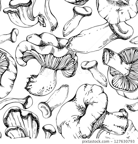 Russula webcap oyster hiratake mushroom. Nature seamless pattern hand drawn in vector ink. Vegan cooking edible raw ingredient. Scrapbooking decoupage stationery, wild food market wrapping, packaging 127630793