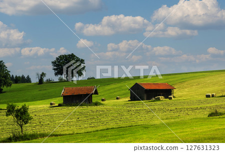 Beautiful summer landscape with sheaves of hay and houses Beautiful summer landscape with sheaves of hay and houses 127631323