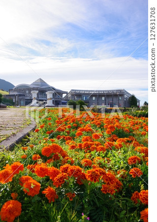 Yutoristo Park Ootoyo, Otoyo Town, Kochi Prefecture 127631708