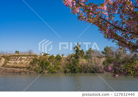 Tagaike Pond and Kawazu cherry blossoms in Kakegawa City (Shizuoka Prefecture) Tagaike Pond and Kawazu cherry blossoms in Kakegawa City (Shizuoka Prefecture) 127632440