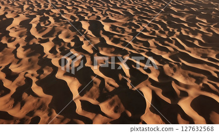 Aerial top view on sand dunes in desert 127632568