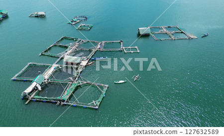 Fish farm with cages for fish and shrimp Fish farm with cages for fish and shrimp 127632589