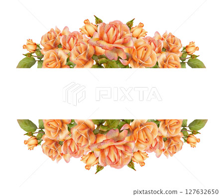 Rose floral banner with blank space Rose floral banner with blank space 127632650
