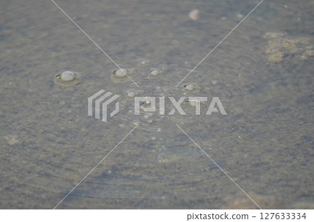 湖底的水泡 127633334