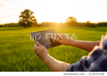 Close-up of the hands of farmer with digital tablet, checking quality of wheat growth in green field 127633380