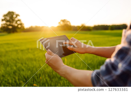 Close-up of the hands of farmer with digital tablet, checking quality of wheat growth in green field Close-up of the hands of farmer with digital tablet, checking quality of wheat growth in green field 127633381